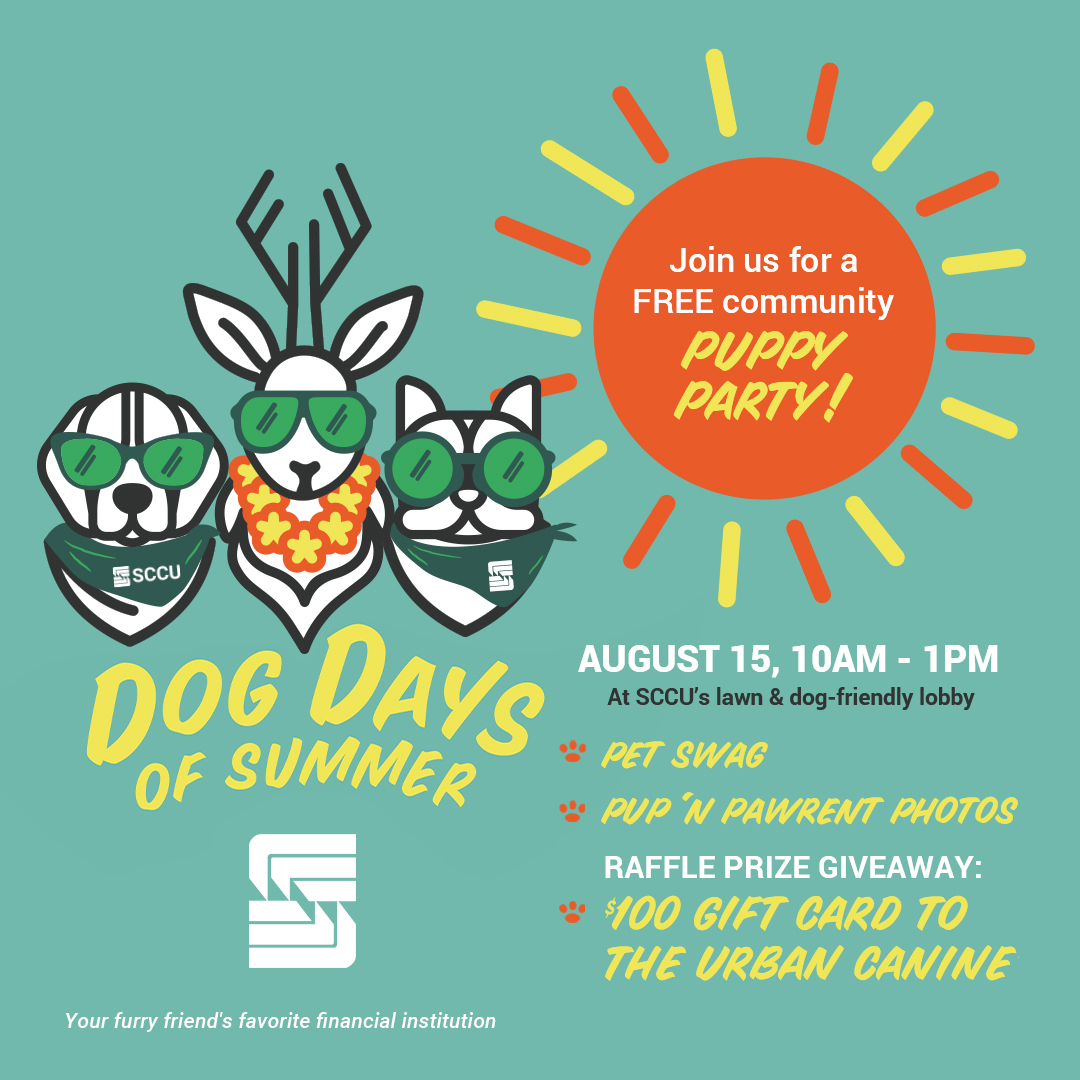 Dog Days of Summer!