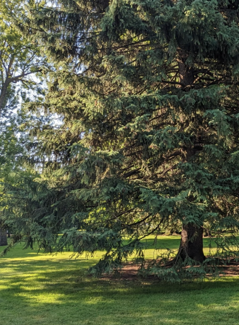 Corbin Park